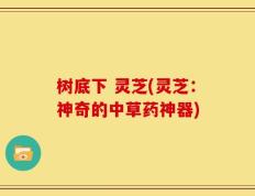 树底下 灵芝(灵芝：神奇的中草药神器)
