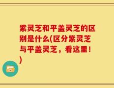 紫灵芝和平盖灵芝的区别是什么(区分紫灵芝与平盖灵芝，看这里！)