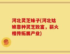 河北灵芝妹子(河北姑娘靠种灵芝致富，薪火相传拓展产业)