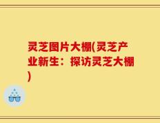 灵芝图片大棚(灵芝产业新生：探访灵芝大棚)