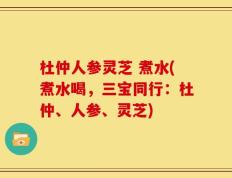 杜仲人参灵芝 煮水(煮水喝，三宝同行：杜仲、人参、灵芝)