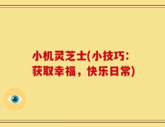 小机灵芝士(小技巧：获取幸福，快乐日常)