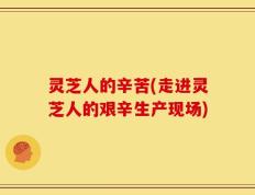 灵芝人的辛苦(走进灵芝人的艰辛生产现场)