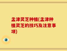 孟津灵芝种植(孟津种植灵芝的技巧及注意事项)