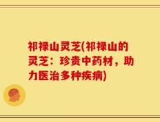 祁禄山灵芝(祁禄山的灵芝：珍贵中药材，助力医治多种疾病)