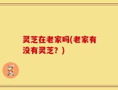 灵芝在老家吗(老家有没有灵芝？)