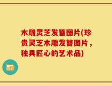 木雕灵芝发簪图片(珍贵灵芝木雕发簪图片，独具匠心的艺术品)