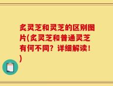 炙灵芝和灵芝的区别图片(炙灵芝和普通灵芝有何不同？详细解读！)