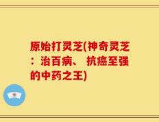 原始打灵芝(神奇灵芝：治百病、 抗癌至强的中药之王)