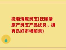 抚顺清原灵芝(抚顺清原产灵芝产品优良，拥有良好市场前景)