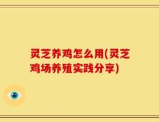 灵芝养鸡怎么用(灵芝鸡场养殖实践分享)