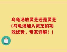 乌龟汤放灵芝还是灵芝(乌龟汤加入灵芝的功效优势，专家详解！)