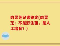 肉灵芝记者鉴定(肉灵芝：不是野生菌，是人工培育？)