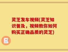 灵芝发车视频(灵芝知识普及，视频教你如何购买正确品质的灵芝)