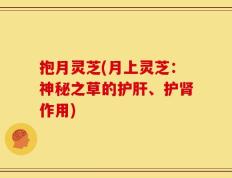 抱月灵芝(月上灵芝：神秘之草的护肝、护肾作用)