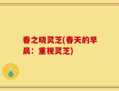 春之晓灵芝(春天的早晨：重视灵芝)
