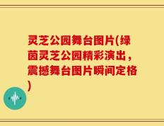 灵芝公园舞台图片(绿茵灵芝公园精彩演出，震撼舞台图片瞬间定格)