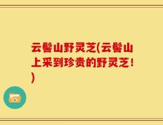 云髻山野灵芝(云髻山上采到珍贵的野灵芝！)