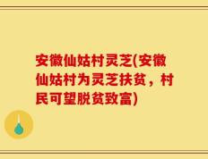 安徽仙姑村灵芝(安徽仙姑村为灵芝扶贫，村民可望脱贫致富)