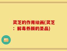 灵芝的作用绘画(灵芝：解毒养颜的圣品)