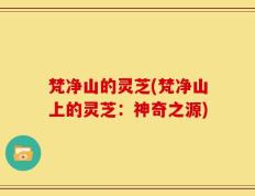 梵净山的灵芝(梵净山上的灵芝：神奇之源)