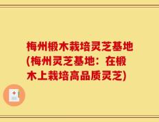 梅州椴木栽培灵芝基地(梅州灵芝基地：在椴木上栽培高品质灵芝)