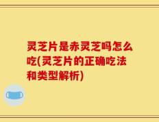 灵芝片是赤灵芝吗怎么吃(灵芝片的正确吃法和类型解析)