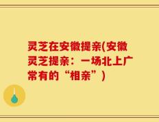 灵芝在安徽提亲(安徽灵芝提亲：一场北上广常有的“相亲”)