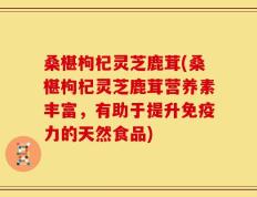 桑椹枸杞灵芝鹿茸(桑椹枸杞灵芝鹿茸营养素丰富，有助于提升免疫力的天然食品)