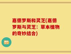 嘉德罗斯和灵芝(嘉德罗斯与灵芝：草本植物的奇妙结合)