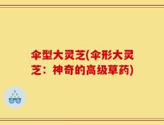 伞型大灵芝(伞形大灵芝：神奇的高级草药)