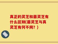 真正的灵芝和菌灵芝有什么区别(菌灵芝与真灵芝有何不同？)