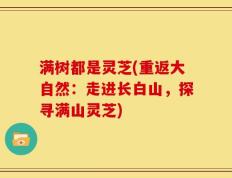 满树都是灵芝(重返大自然：走进长白山，探寻满山灵芝)