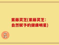 紫藤灵芝(紫藤灵芝：自然赋予的健康明星)