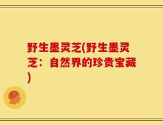 野生墨灵芝(野生墨灵芝：自然界的珍贵宝藏)