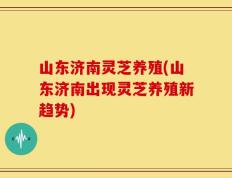 山东济南灵芝养殖(山东济南出现灵芝养殖新趋势)