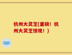 杭州大灵芝(重磅！杭州大灵芝惊现！)