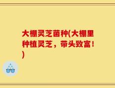 大棚灵芝菌种(大棚里种植灵芝，带头致富！)