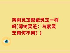 薄树灵芝跟紫灵芝一样吗(薄树灵芝：与紫灵芝有何不同？)