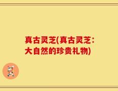 真古灵芝(真古灵芝：大自然的珍贵礼物)