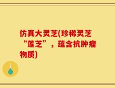 仿真大灵芝(珍稀灵芝“莲芝”，蕴含抗肿瘤物质)