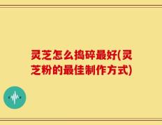 灵芝怎么捣碎最好(灵芝粉的最佳制作方式)
