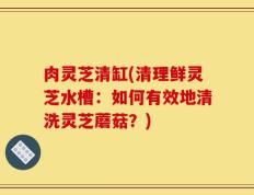 肉灵芝清缸(清理鲜灵芝水槽：如何有效地清洗灵芝蘑菇？)