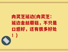 肉灵芝延边(肉灵芝：延边金丝蘑菇，不只是口感好，还有很多好处！)