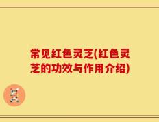 常见红色灵芝(红色灵芝的功效与作用介绍)