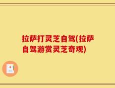 拉萨打灵芝自驾(拉萨自驾游赏灵芝奇观)