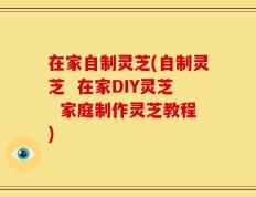 在家自制灵芝(自制灵芝  在家DIY灵芝  家庭制作灵芝教程)