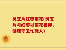灵芝片红枣菊花(灵芝片与红枣以菊花相伴，健康守卫忙碌人)