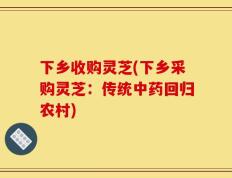 下乡收购灵芝(下乡采购灵芝：传统中药回归农村)