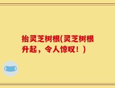 抬灵芝树根(灵芝树根升起，令人惊叹！)